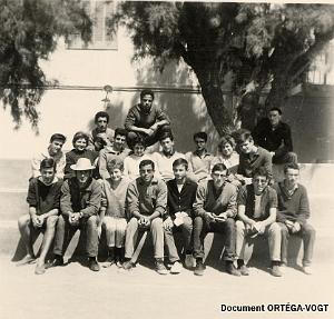 Oran- SDV- 0374